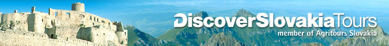 www.discoverslovakiatours.com